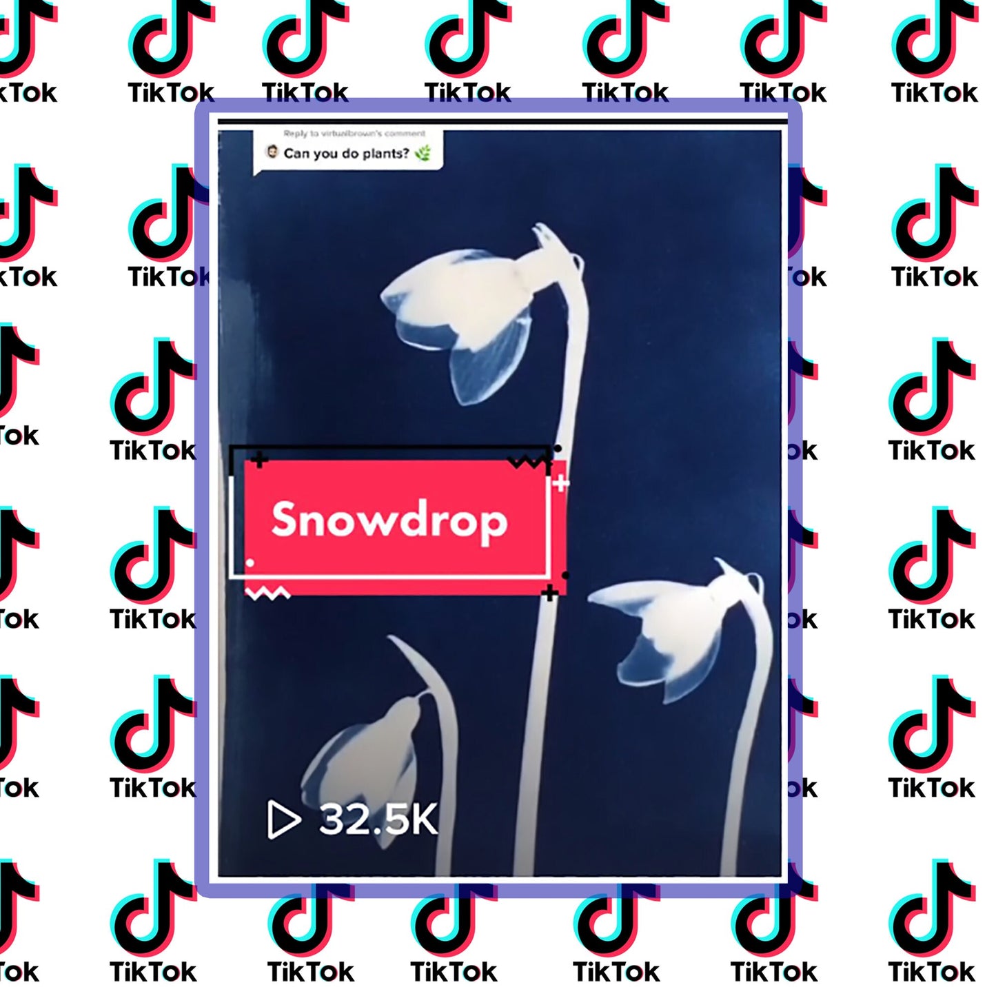 TikTok Snowdrop Print