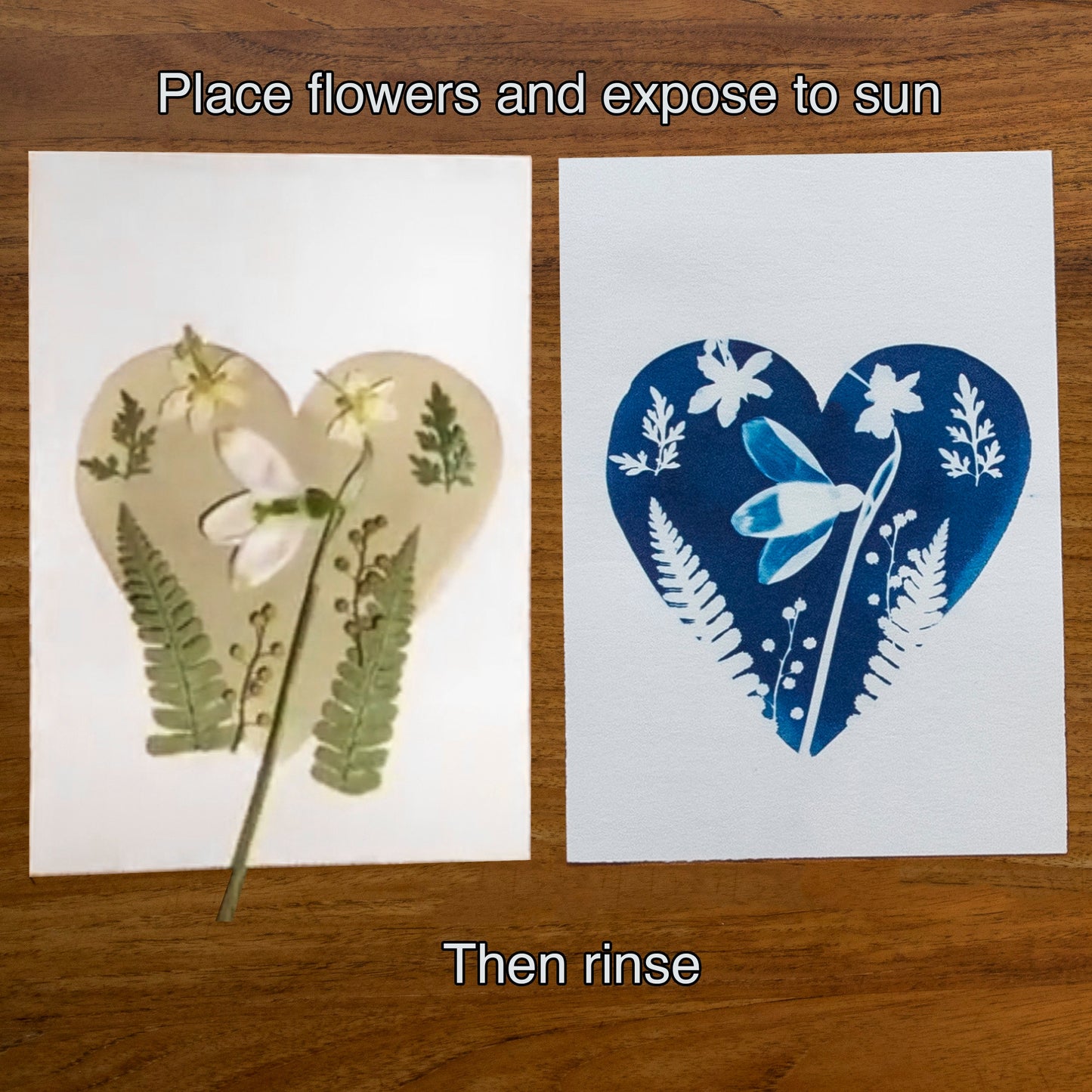 Love themed Cyanotype Flower and Plant Sun Printing Kit
