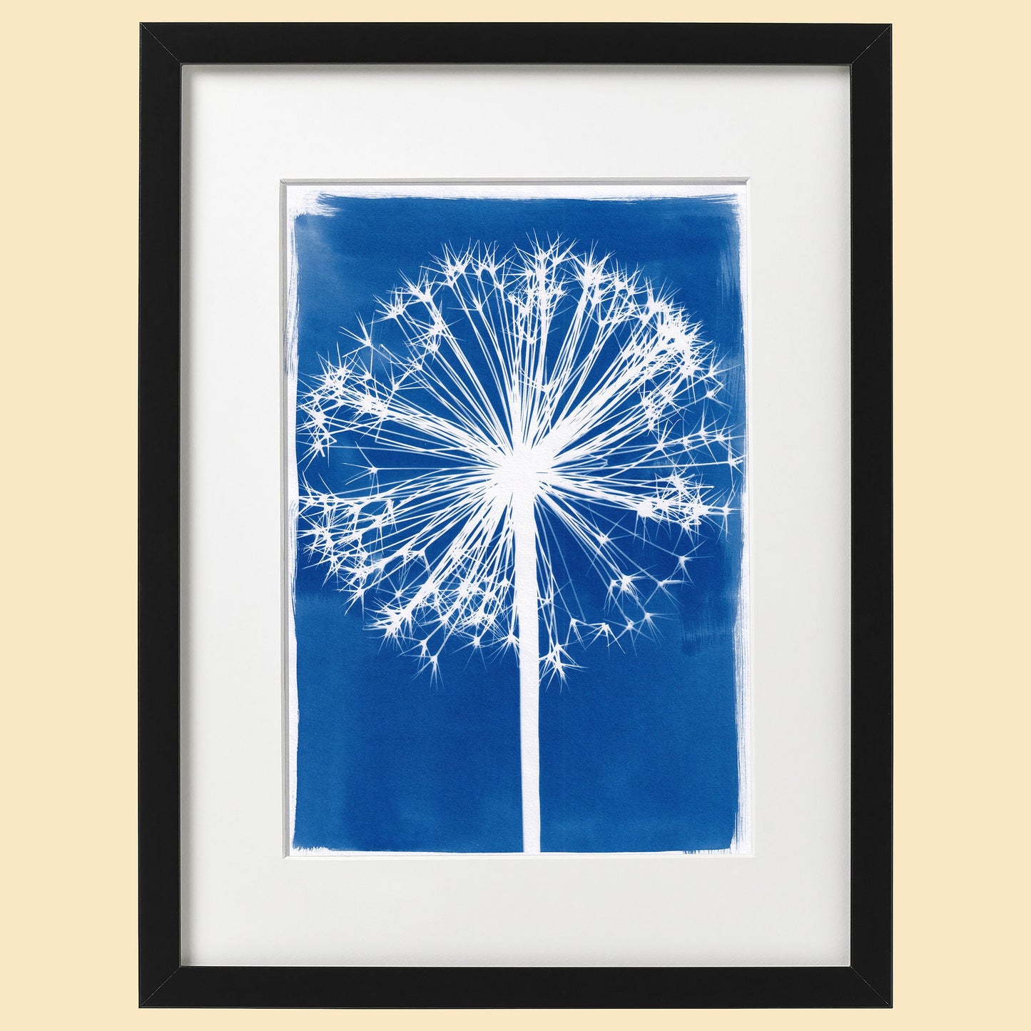 A4 Large Allium Cyanotype Print