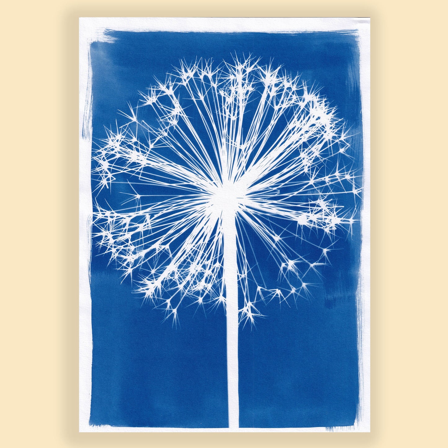 A4 Large Allium Cyanotype Print