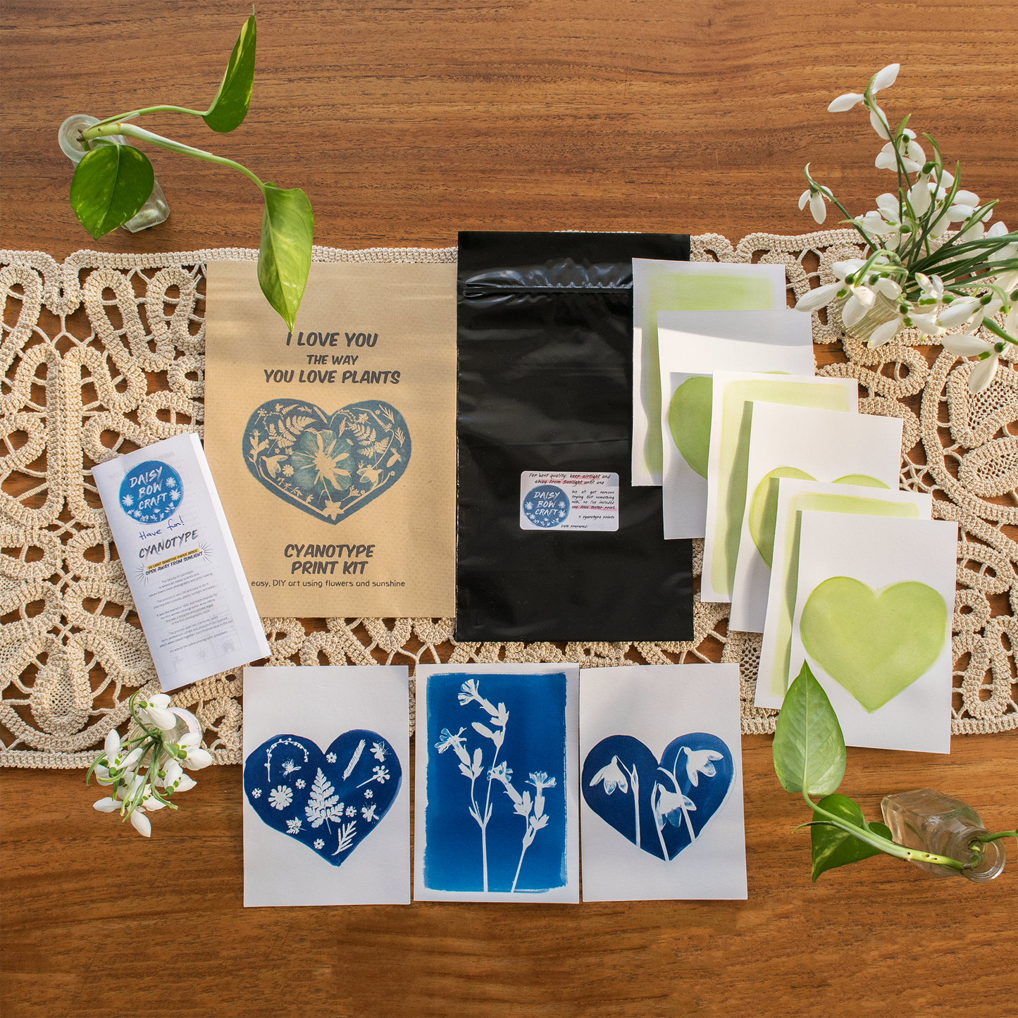 Love Plants Cyanotype Kit