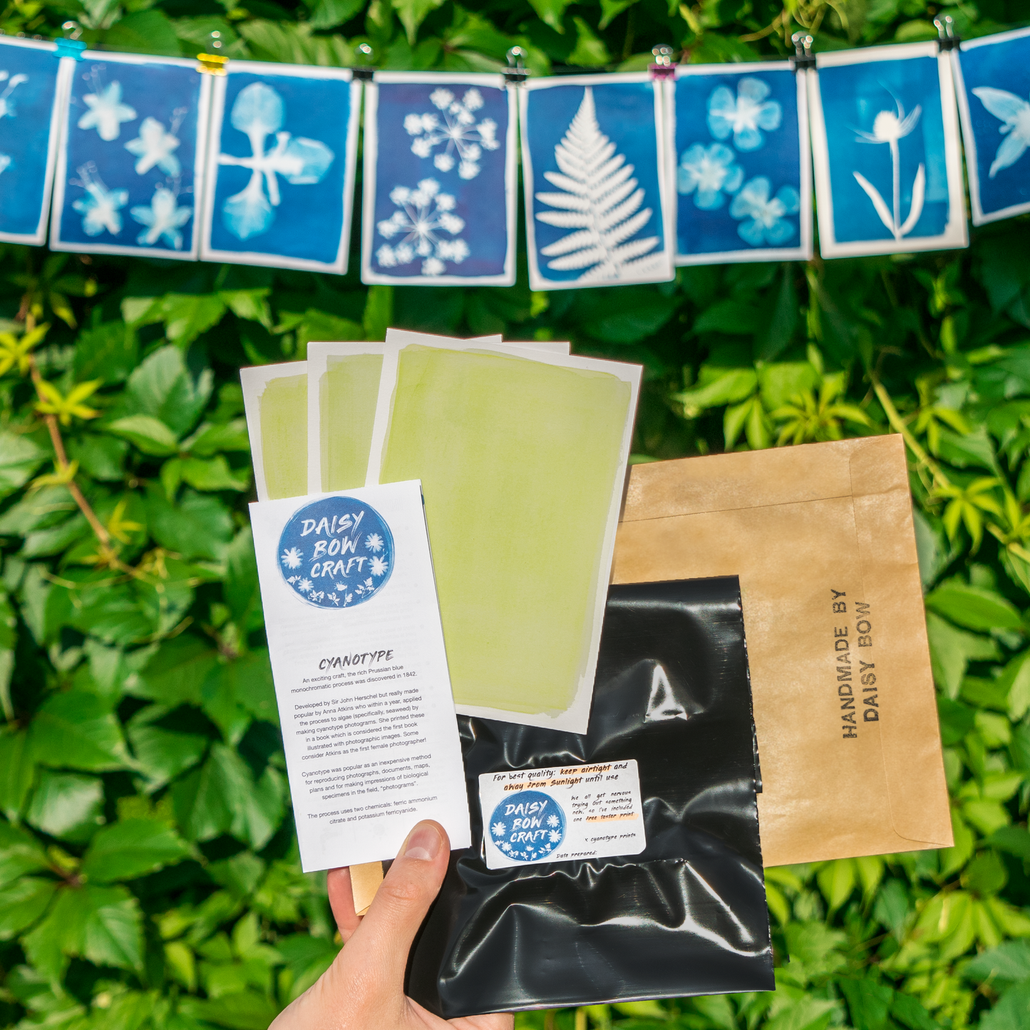 Easy Hand Painted Cyanotype Paper Kit by Daisy Bow